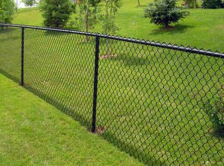 Black chain-link fence along green lawn
